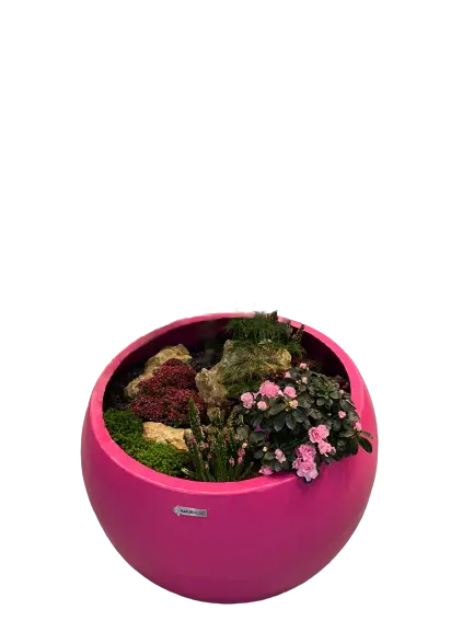 Kugelpflanzgefäß in Magenta, bepflanzt