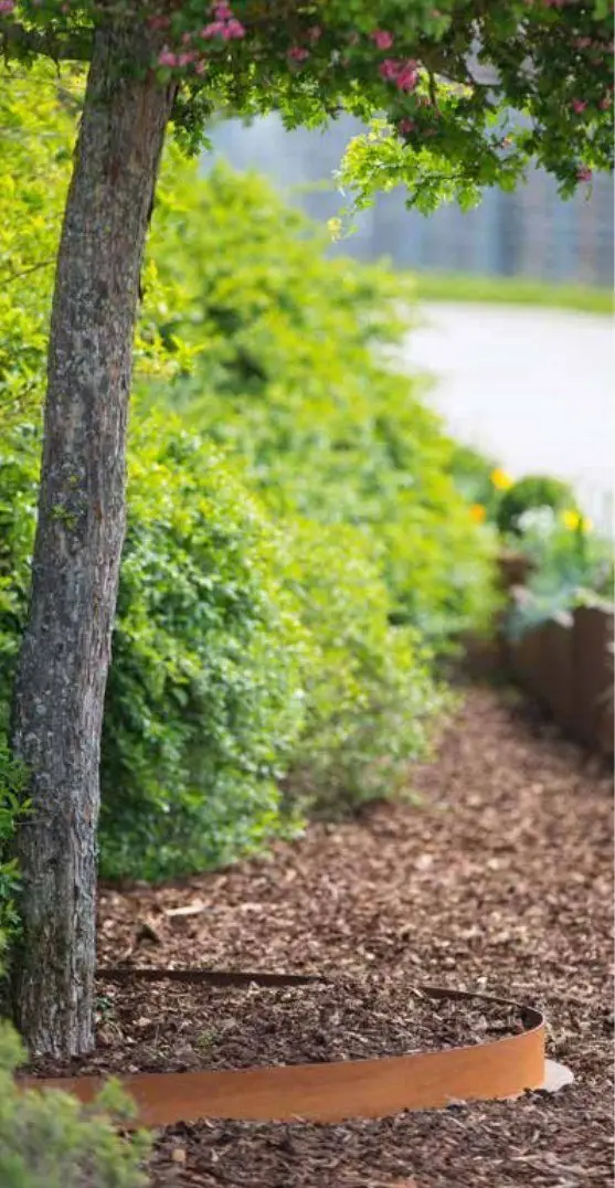 Baumring aus Cortenstahl um einen Baum in einem Rindenmulch-Beet