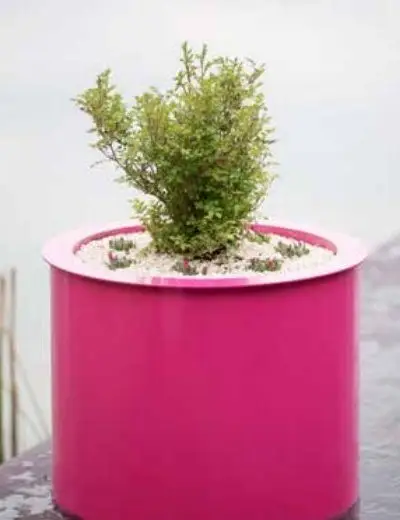 Rundes Pflanzgefäß Kubisch rund, farbbeschichtet in Magenta